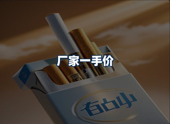 专业团队办公环境